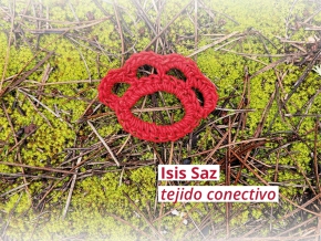 Tejido conectivo